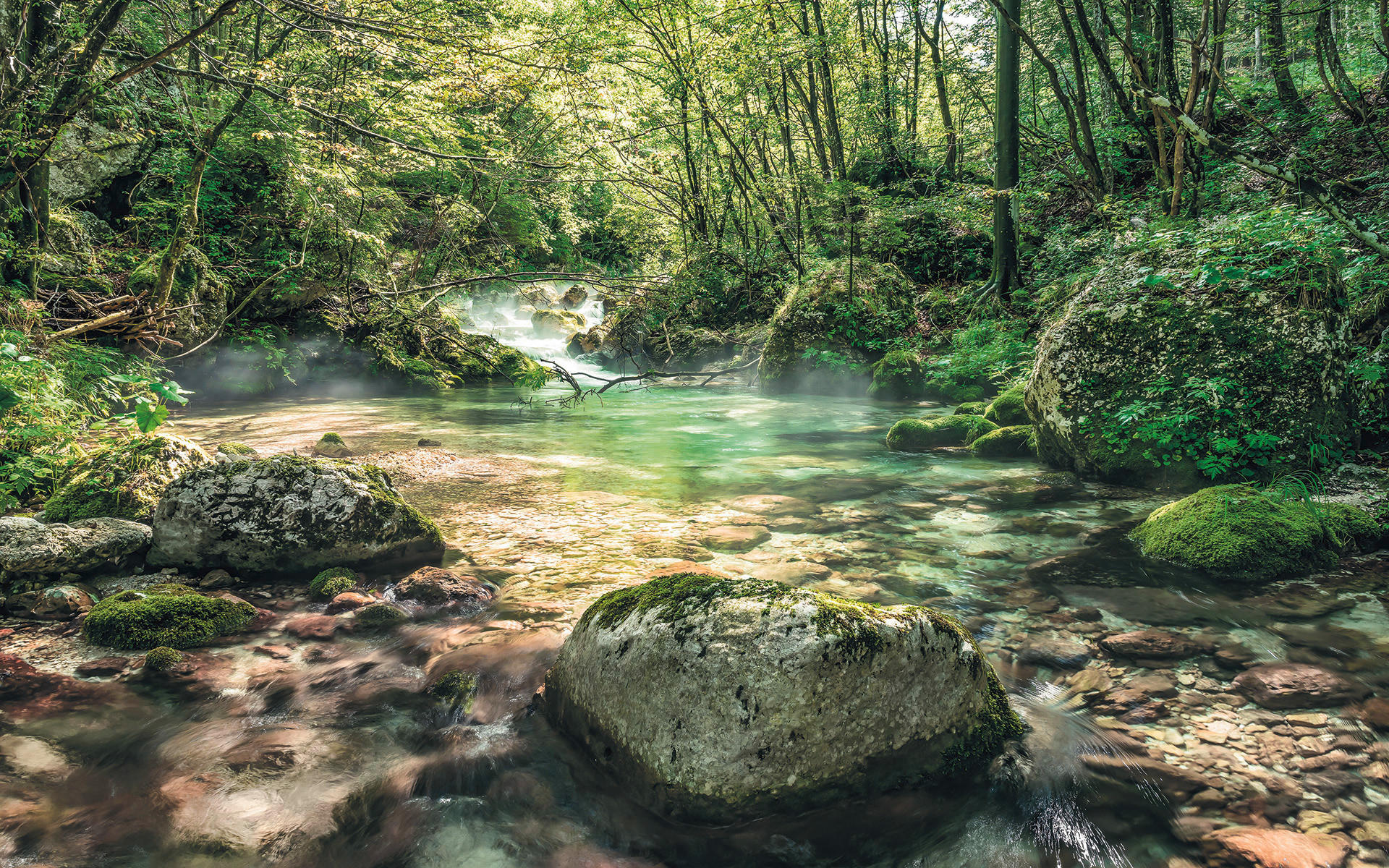 VLIESTAPETE  - Natur (400/250cm) - Komar