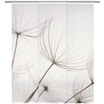 FLÄCHENVORHANG in Grau transparent  - Grau, Design, Textil (60/255cm) - Novel