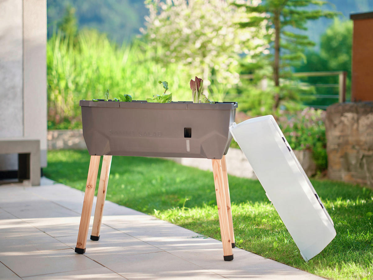 HOCHBEET 38/95/79 cm  - Anthrazit, Basics, Holz/Kunststoff (38/95/79cm) - Gusta Garden