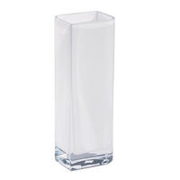 VAZA   8,00/25,00/6,00 cm   staklo  - bijela, Basics, staklo (8,00/25,00/6,00cm) - Leonardo