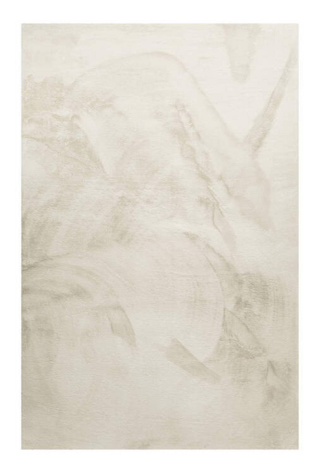 HOCHFLORTEPPICH 120/170 cm Anna Beige  - Beige, KONVENTIONELL, Textil (120/170cm) - WECON HOME BASIC