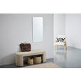 WANDSPIEGEL 50/110/1 cm    in rechteckig  - Klar, Design, Glas (50/110/1cm) - Carryhome