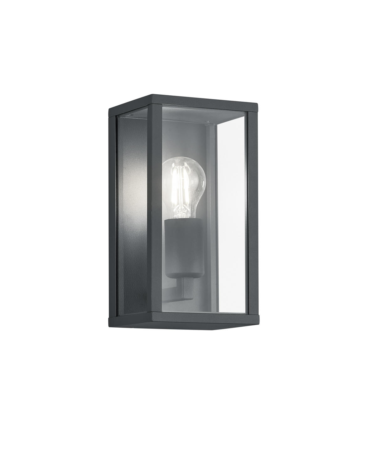 AUSSENWANDLEUCHTE - Klar/Anthrazit, Basics, Glas/Metall (14/14/26cm) - Trio Leuchten