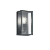 AUSSENWANDLEUCHTE - Klar/Anthrazit, Basics, Glas/Metall (14/14/26cm) - Trio Leuchten