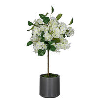 KUNSTBLUME - Dunkelgrau/Weiß, Basics, Kunststoff (71cm)