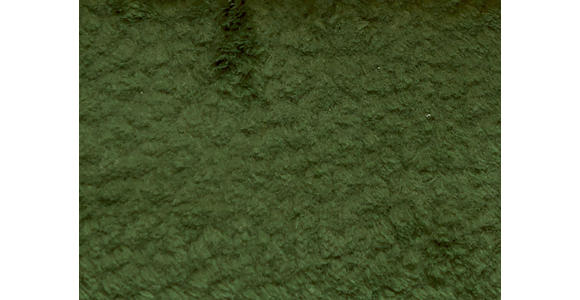 SESSEL in Teddystoff Dunkelgrün  - Dunkelgrün/Schwarz, Design, Textil/Metall (60/94/86cm) - Dieter Knoll