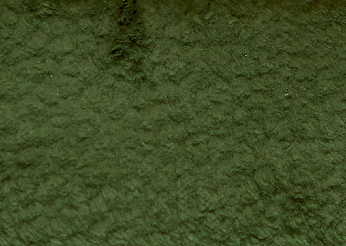 SESSEL in Teddystoff Dunkelgrün  - Dunkelgrün/Schwarz, Design, Textil/Metall (60/94/86cm) - Dieter Knoll