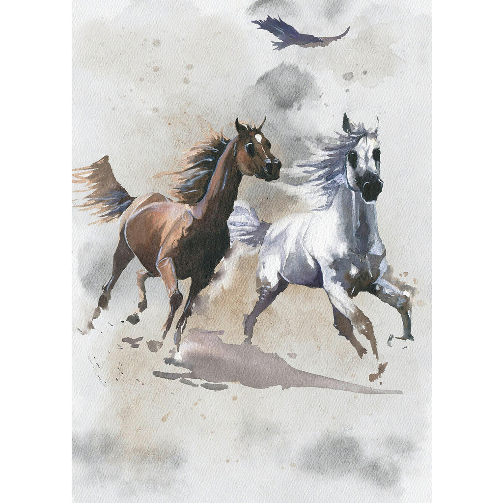 Fototapete Wild Ride