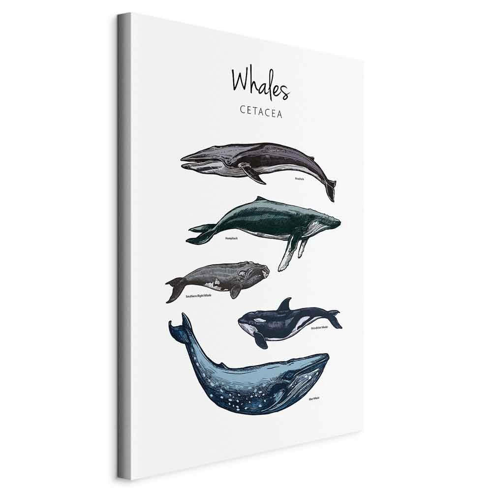 Leinwandbild Grau Hellgrau B: 60 Cm