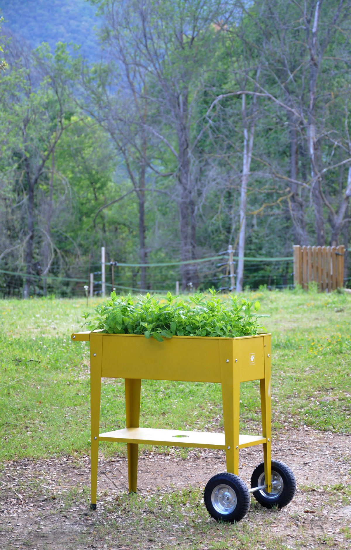 HOCHBEET  - Gelb, Basics, Metall (35/80/75cm) - Ambia Garden