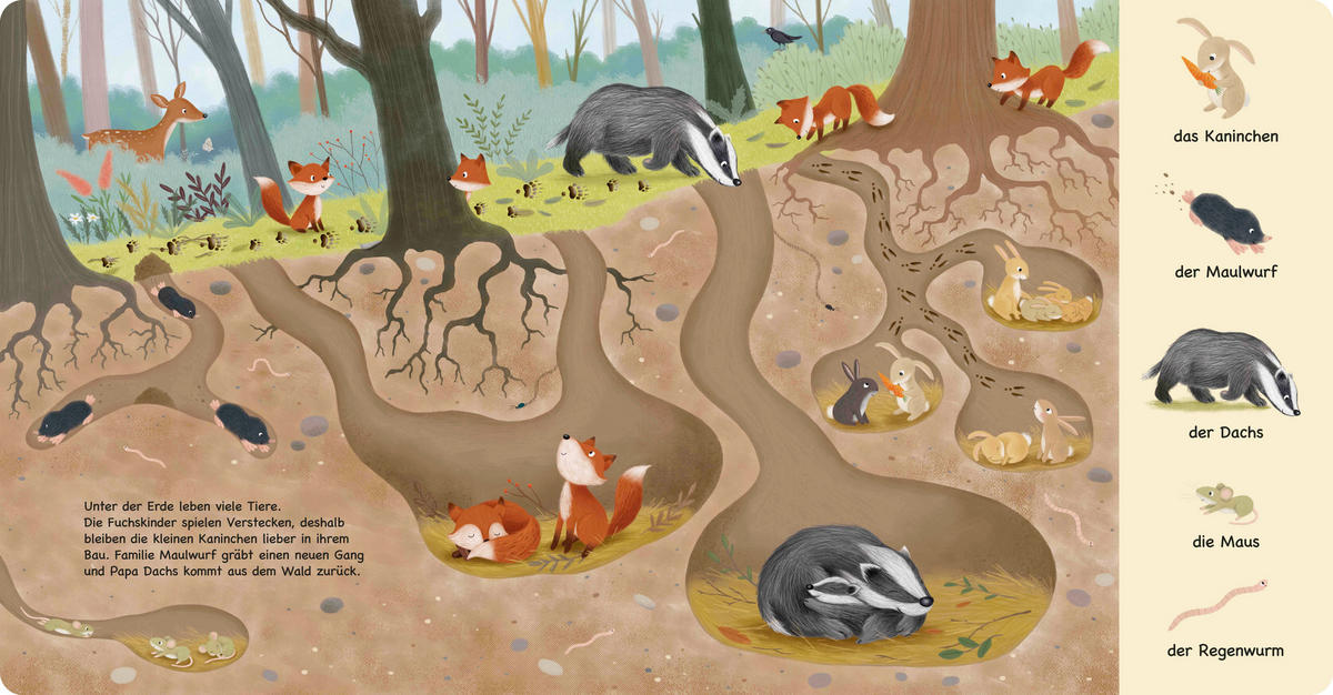 WIMMELBUCH Tiere im Wald  - Multicolor, Basics, Papier (23,5/24,5/1,6cm)