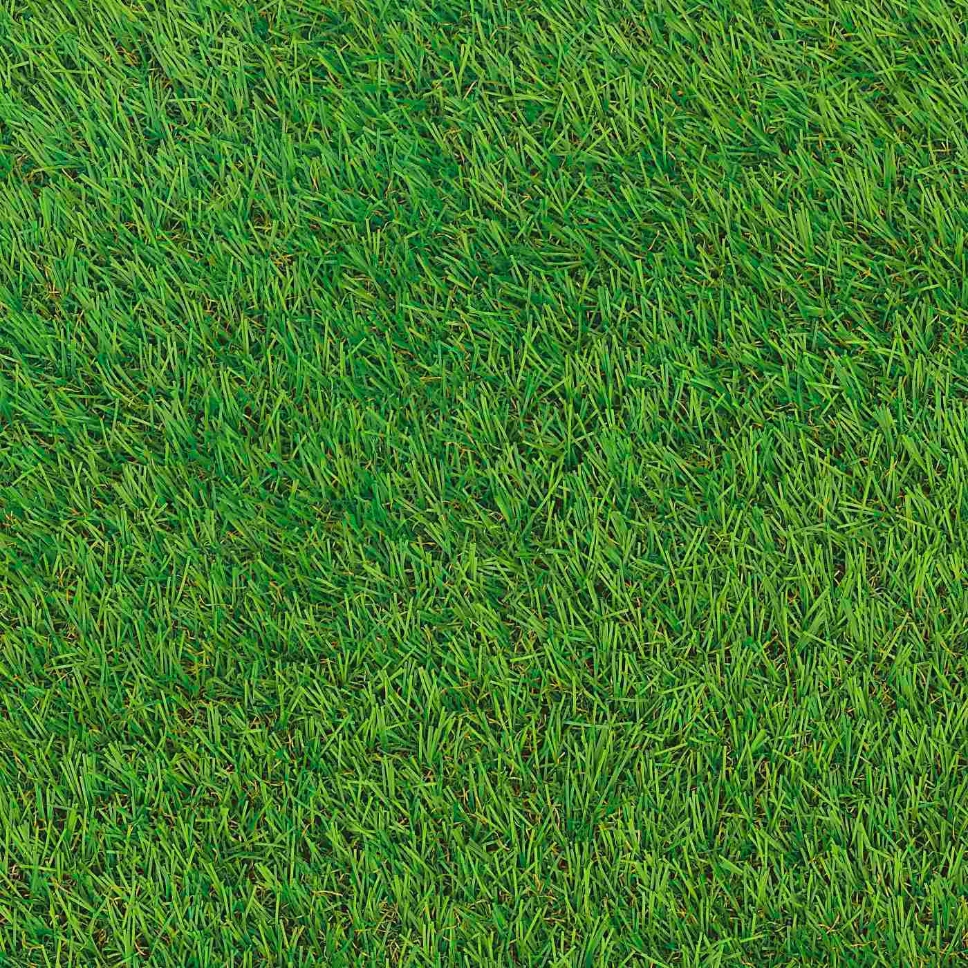 GYEPSZŐNYEG   - Basics, textil (100/400cm) - Boxxx