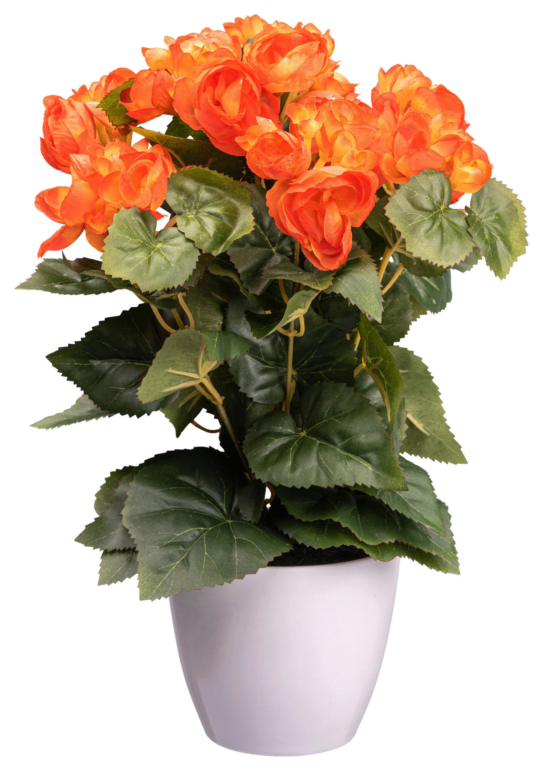 XXXLutz Kunstpflanze Grün, Orange 35 cm