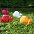 DEKOSCHNECKE - Rot, Trend, Kunststoff (37/25/20cm)
