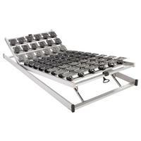 TELLERLATTENROST 90/200 cm Kopfteil, Fußteil verstellbar, Birke, Buche  - Silberfarben, Basics, Holz (90/200cm) - Livetastic