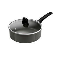 PONEV ZA FRITIRANJE Renewal 24 cm keramična prevleka  - barve aluminija, Basics, kovina (24cm) - Tefal