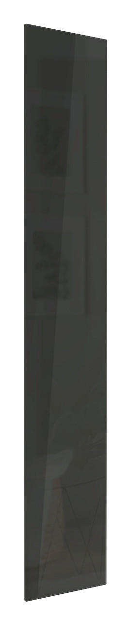TÜR 45,3/234,8/1,8 cm   - Anthrazit Hochglanz, KONVENTIONELL, Holzwerkstoff (45,3/234,8/1,8cm) - Hom`in