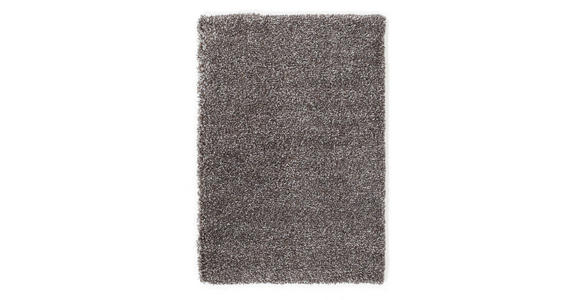 HOCHFLORTEPPICH 120/170 cm Fashoin Shaggy Braun, Grau  - Braun/Grau, Basics, Textil (120/170cm) - Novel