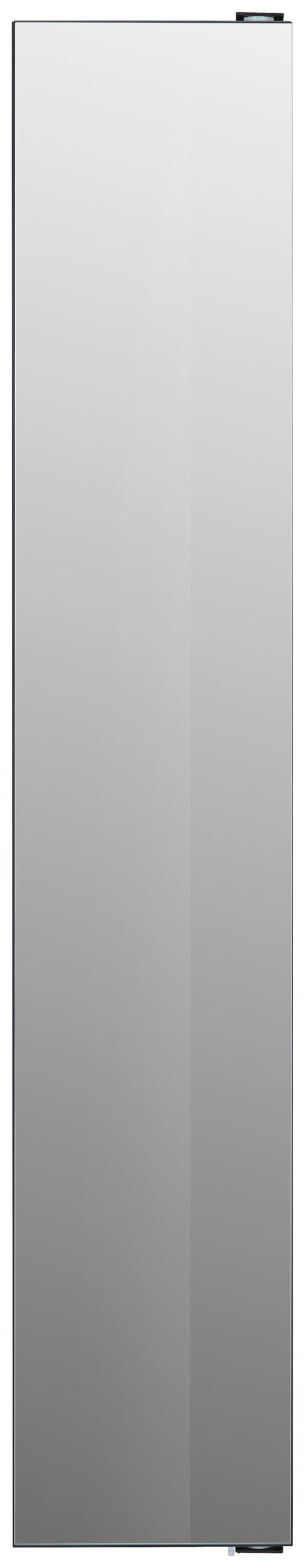 ZRCADLOVÁ SKŘÍŇKA, barvy stříbra, 29/158/9 cm - barvy stříbra, Design, kov/sklo (29/158/9cm) - MID.YOU