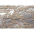 RINDERFELL - Beige/Silberfarben, Design, Leder/Fell (1,60/2,50/cm) - Linea Natura RINDERFELL - Beige/Silberfarben, Design, Leder/Fell (1,60/2,50/cm) - Linea Natura