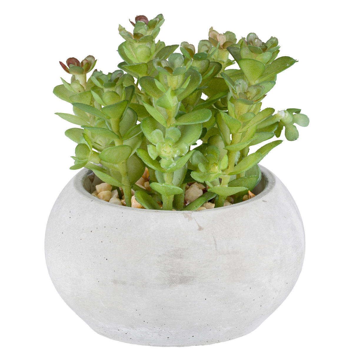 KUNSTPFLANZE Sukkulente 9 cm  - Hellgrau/Grün, Basics, Kunststoff/Stein (9cm)