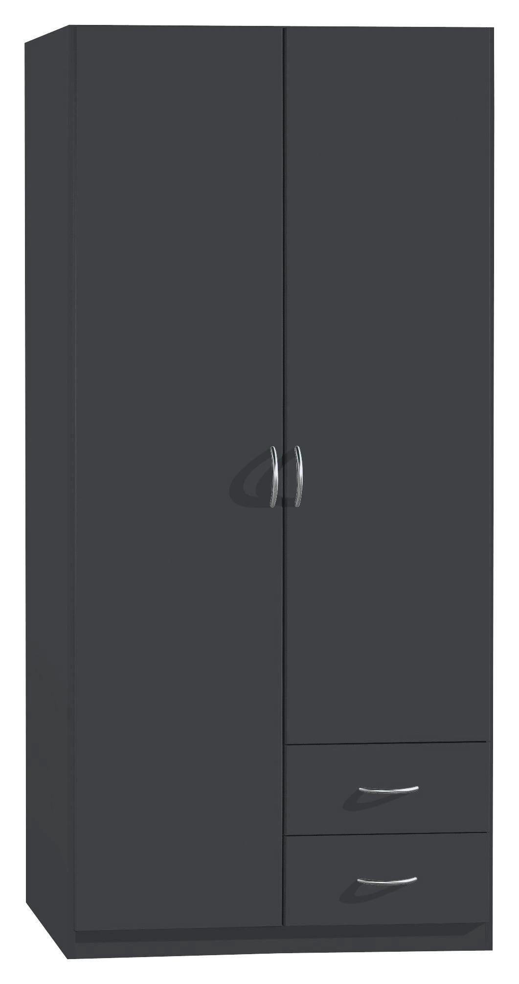 DREHTÜRENSCHRANK 91/197/54 cm 2-türig  - Silberfarben/Grau, Design, Holzwerkstoff/Kunststoff (91/197/54cm) - Boxxx