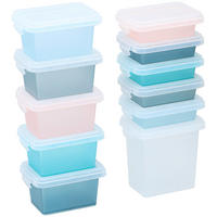 AUFBEWAHRUNGSBOXEN-SET  - Multicolor, Basics, Kunststoff (13/7.6/30cm)