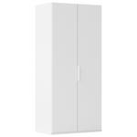 DREHTÜRENSCHRANK 61/235/61 cm,  in Weiß, 2-türig  - Weiß, Basics, Holzwerkstoff/Metall (61/235/61cm) - Novel