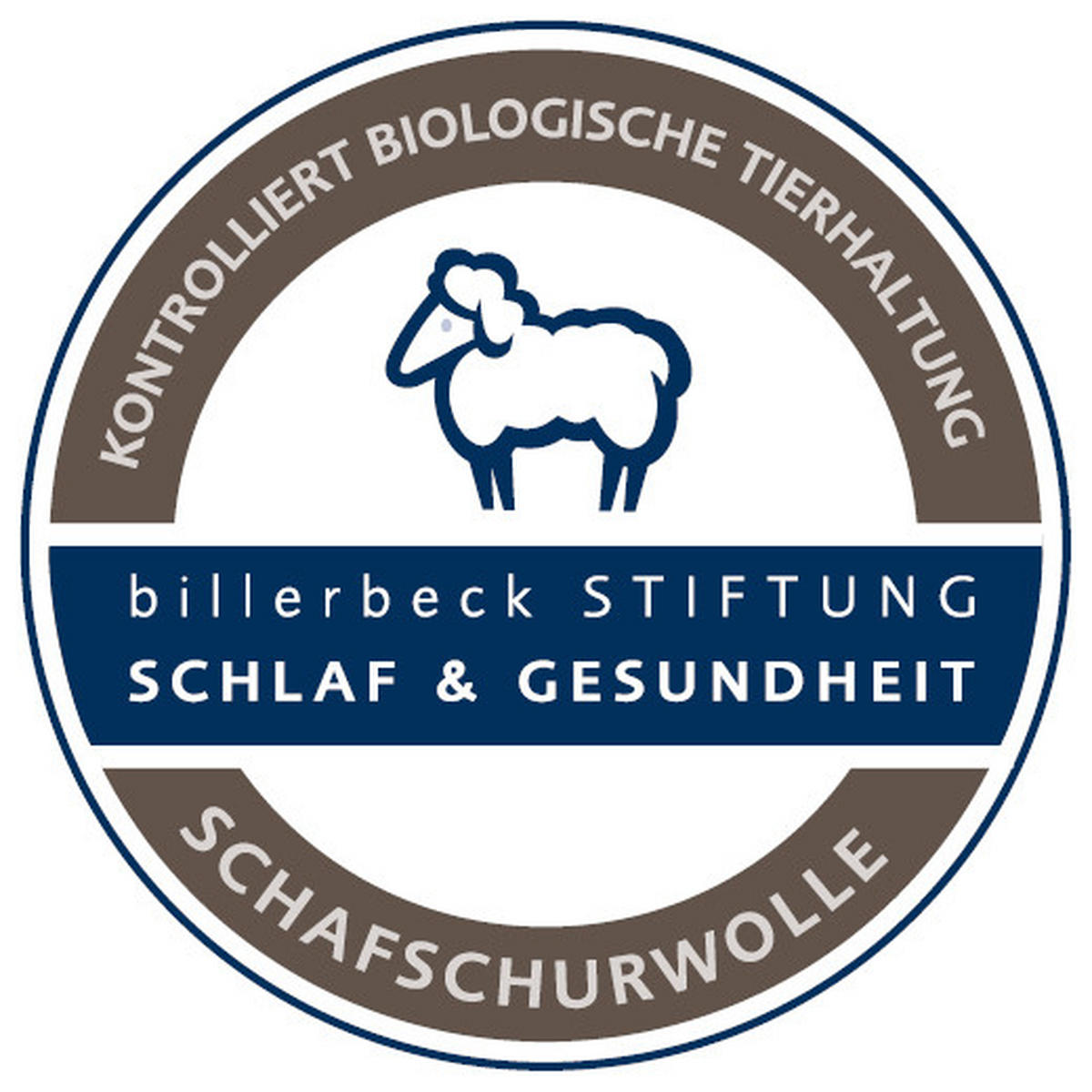 KOPFKISSEN  COSIDREAM  80/80 cm       - Champagner, Basics, Textil (80/80cm) - Billerbeck