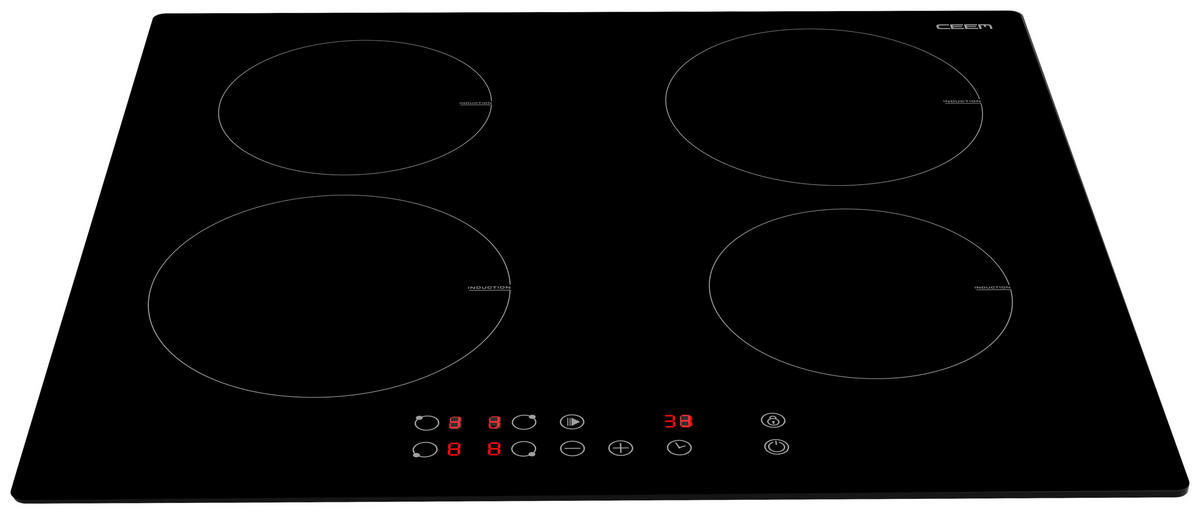 INDUKTIONSKOCHFELD CEEM IH 160  - Schwarz, Basics, Glas/Kunststoff (59/5,8/52cm) - CEEM