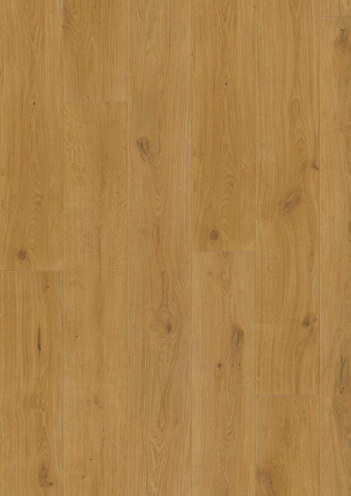 VINYLBODEN Elito Trend Eiche Natur 100004901  per  m² - Design, Holz (220/21,6/1cm) - Tilo