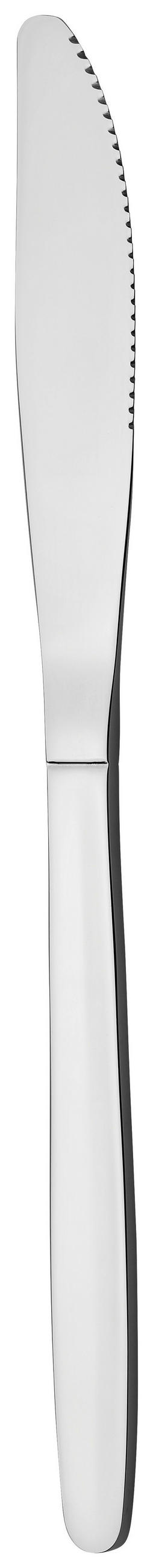 Cuțit - culoare inox, Design, metal (20,7cm) - Luca Bessoni