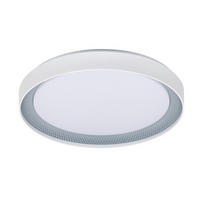 LED-DECKENLEUCHTE Ogulin 48,5/8 cm   - Hellgrau/Weiß, Design, Kunststoff (48,5/8cm) - Novel