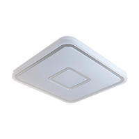 PLAFONIERĂ CU LED - alb, Basics, plastic/metal (53cm)