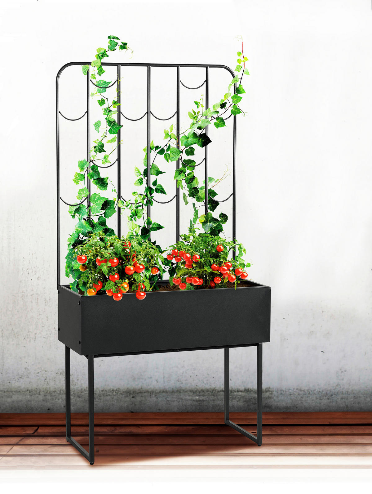 HOCHBEET STELLA  - Anthrazit, MODERN, Metall (32/144/74cm)