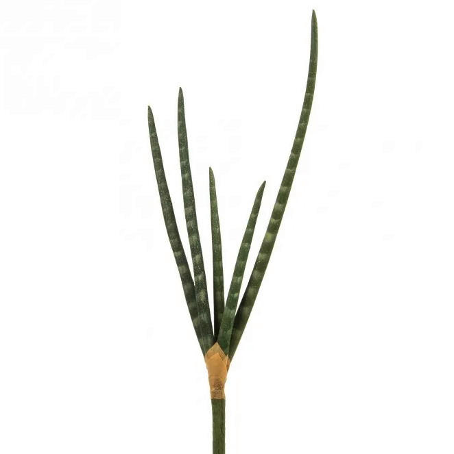 OKRASNA VEJICA - zelena, Basics, umetna masa (18,5/2,5/52cm)
