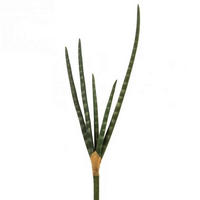 OKRASNA VEJICA - zelena, Basics, umetna masa (18,5/2,5/52cm)