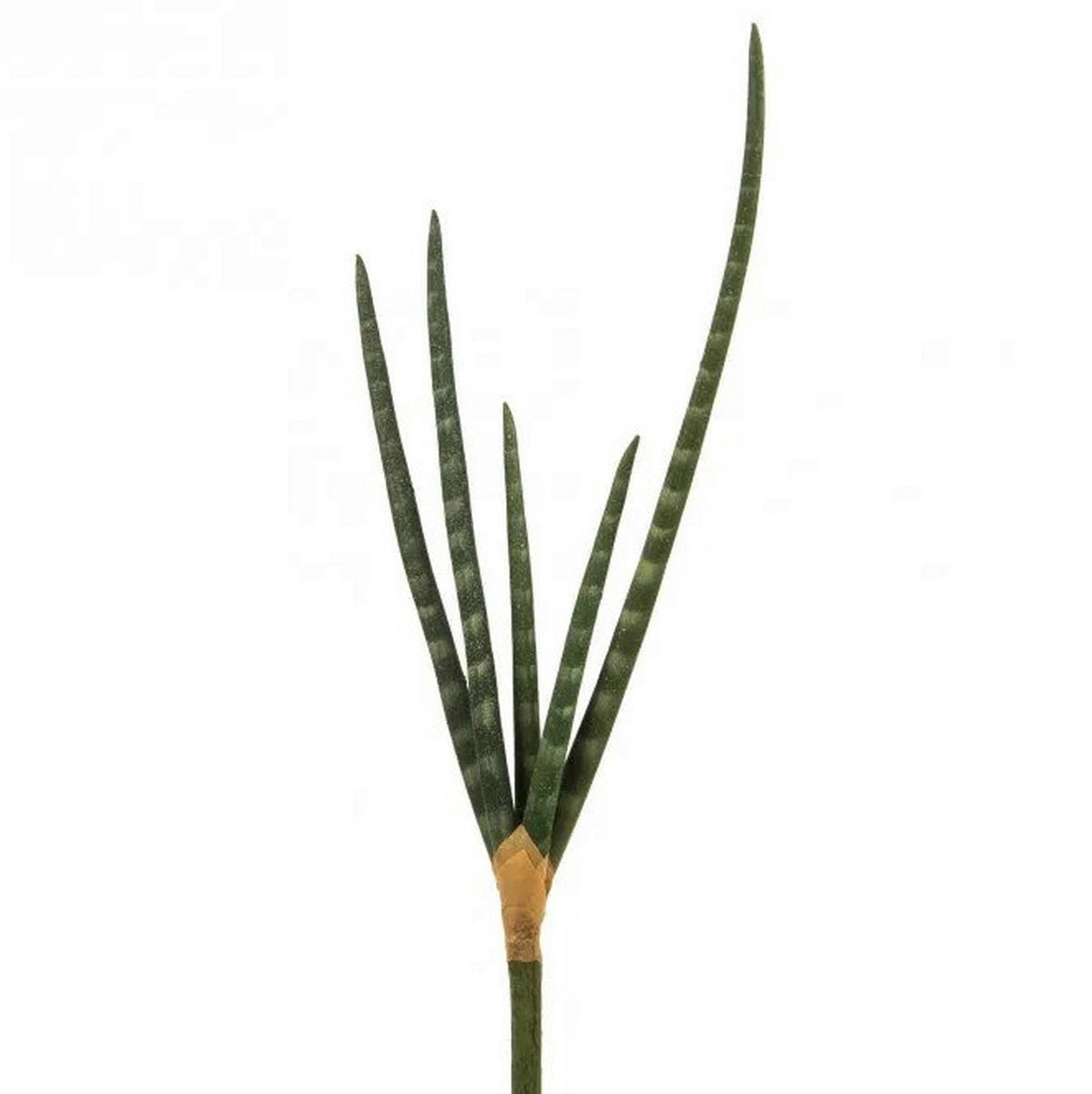 OKRASNA VEJICA - zelena, Basics, umetna masa (18,5/2,5/52cm)