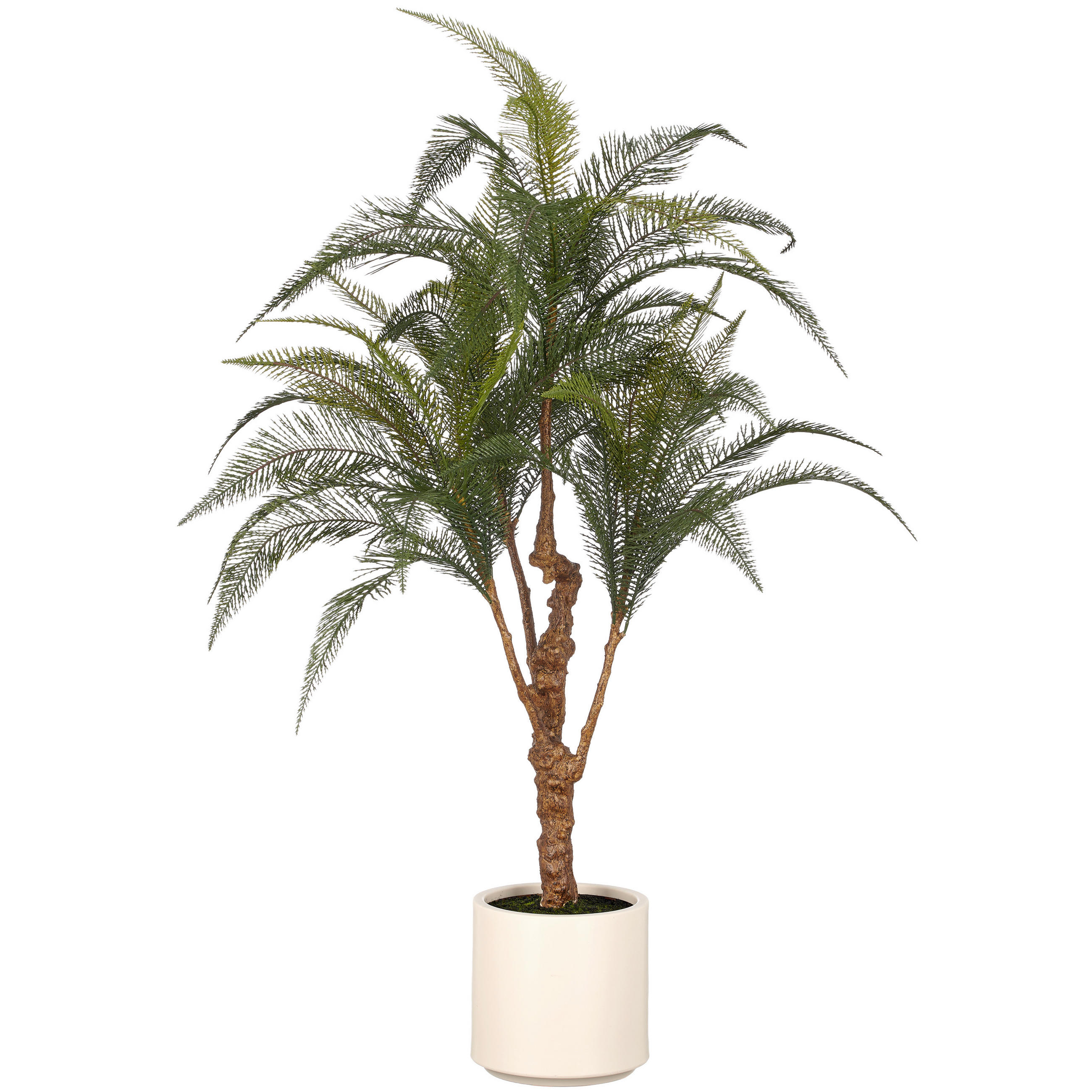 KUNSTPFLANZE Farn 100 cm  - Creme/Braun, Basics, Kunststoff (100cm)