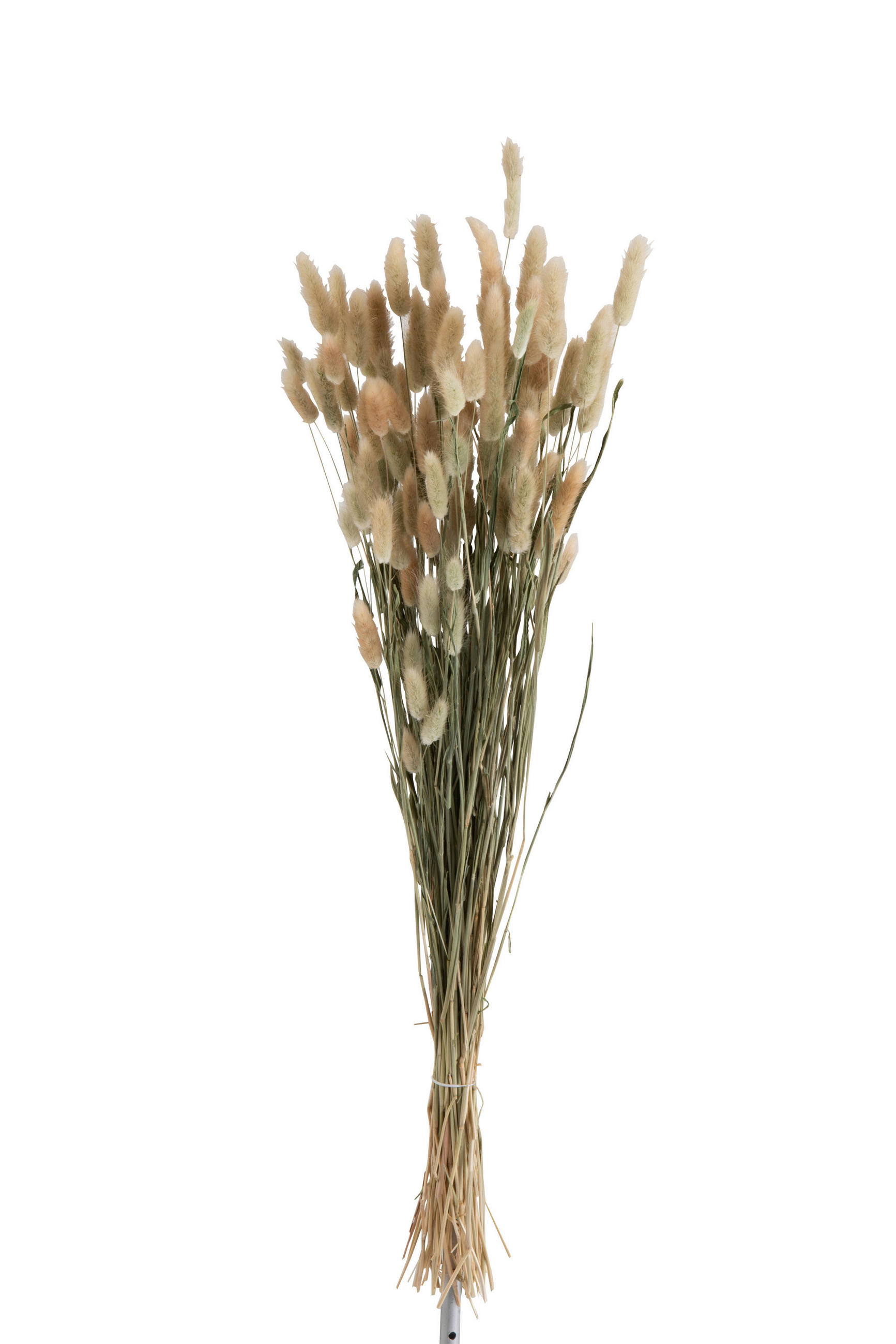 TROCKENBLUMENSTRAUß - Naturfarben, Basics, Naturmaterialien (16/16/84cm)