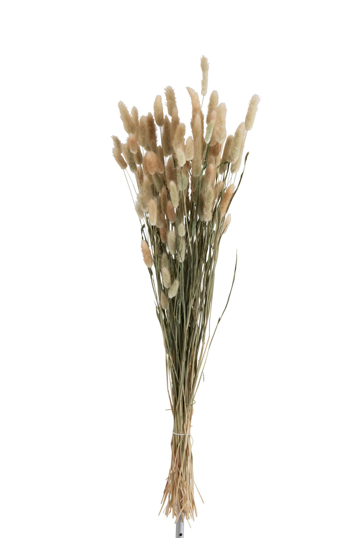 TROCKENBLUMENSTRAUß  - Naturfarben, Basics, Naturmaterialien (16/16/84cm)