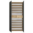 SCHUHSCHRANK 90/195/35 cm  - Anthrazit/Silberfarben, Basics, Holzwerkstoff/Kunststoff (90/195/35cm) - Xora
