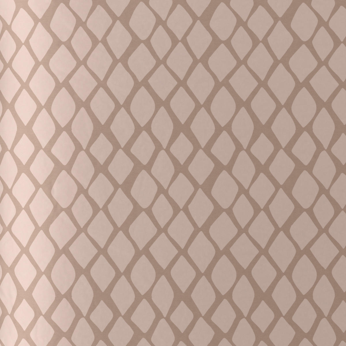BETTWÄSCHESET Satin 160/210 cm  65 cm/100 cm  - Beige, Design, Textil (160/210cm) - Dieter Knoll