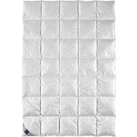KASSETTENDECKE  Belvedere Kasette II  155/220 cm   - Champagner, Basics, Textil (155/220cm) - Billerbeck