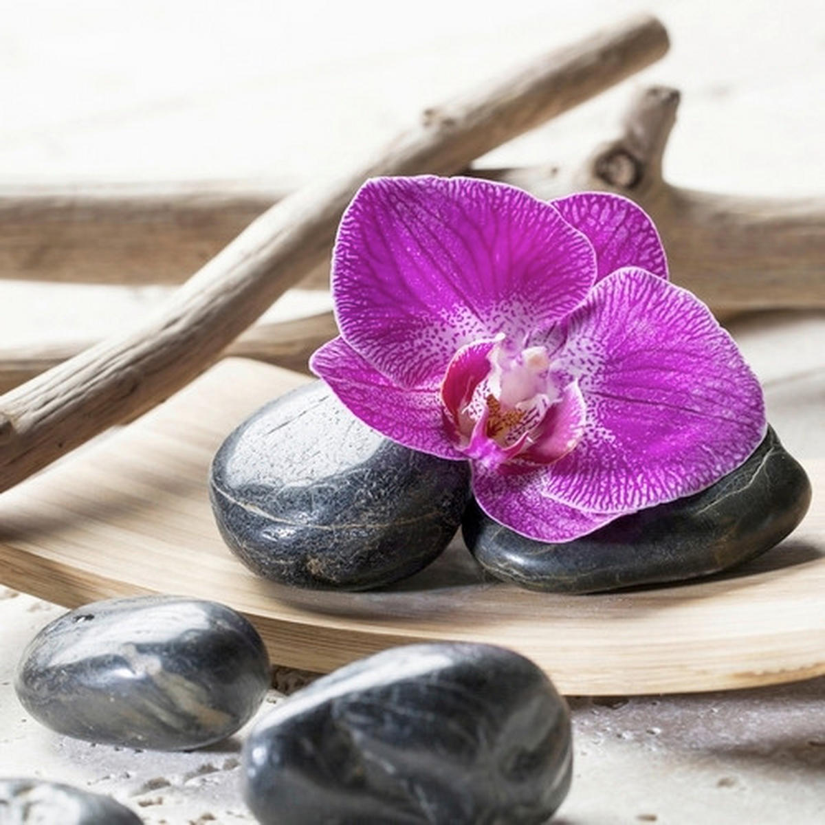 Tablou Pe Pânză 28/28/1,5 cm  - Basics, textil (28/28/1,5cm)