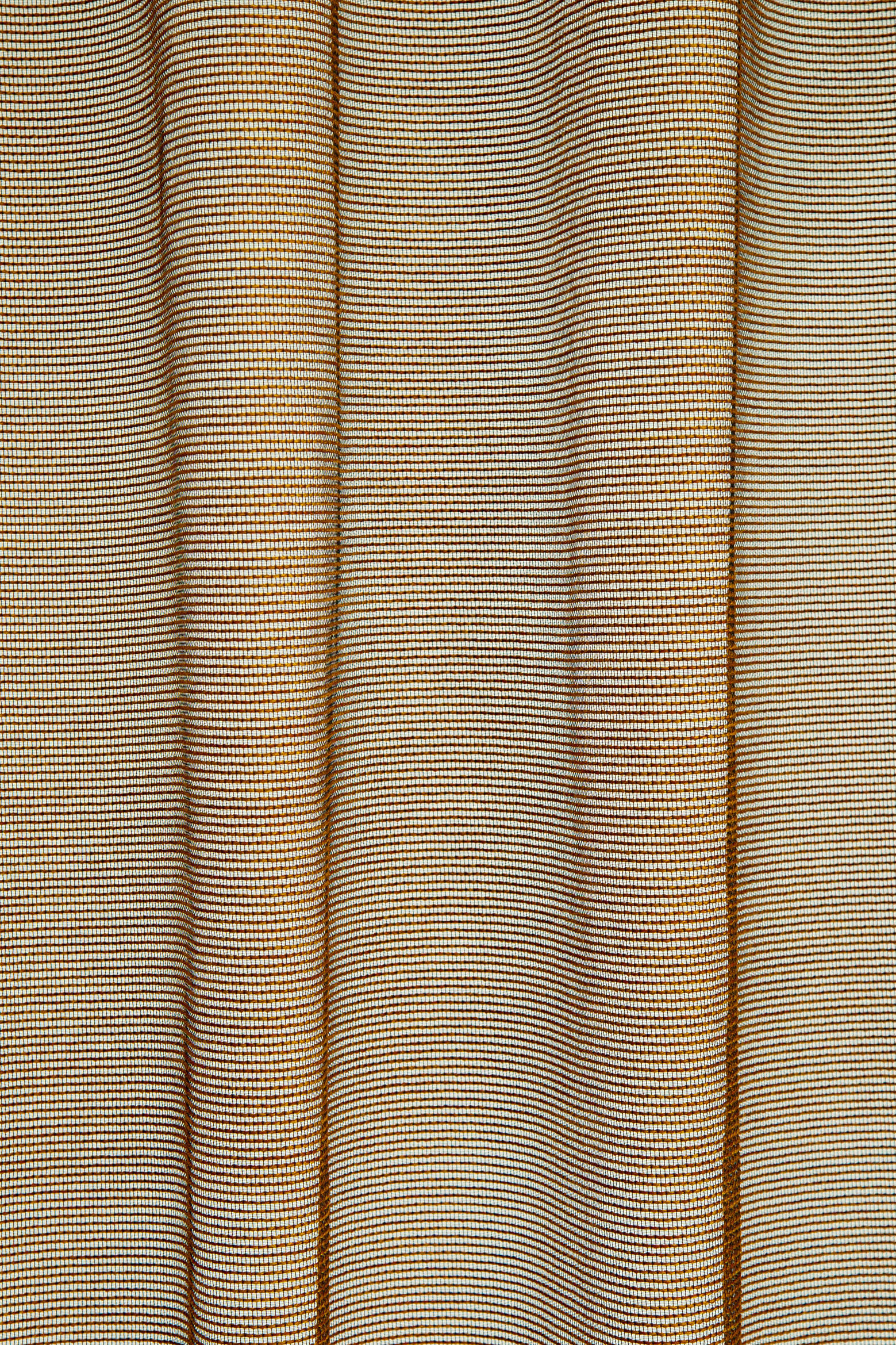 ÖSENVORHANG transparent  - Braun, Basics, Textil (140/245cm)