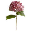 HORTENSIE  - Hellrosa, Basics (60cm)
