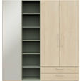 KLEIDERSCHRANK 3-türig Eichefarben, Salbeigrün  - Edelstahlfarben/Eichefarben, Design, Glas/Holzwerkstoff (202,6/213,6/59,3cm) - Cantus