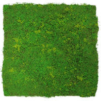 AKUSTIKPANEEL Modular Wall System Design Moos 52/52/3,2 cm  - Hellgrün, KONVENTIONELL, Kunststoff (52/52/3,2cm) - Jangal