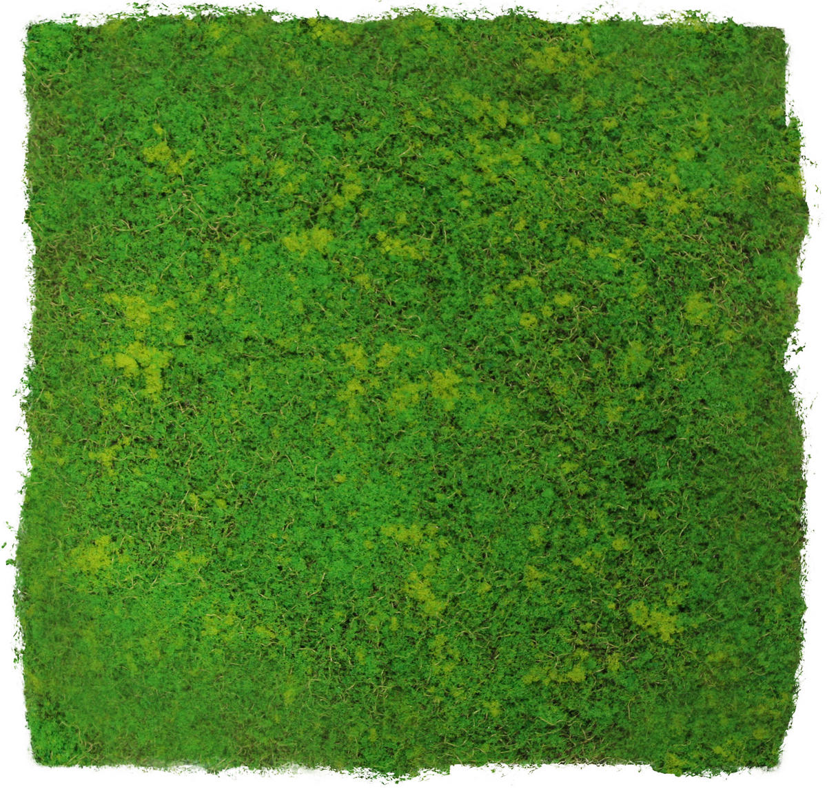 AKUSTIKPANEEL Modular Wall System Design Moos 52/52/3,2 cm  - Hellgrün, KONVENTIONELL, Kunststoff (52/52/3,2cm) - Jangal
